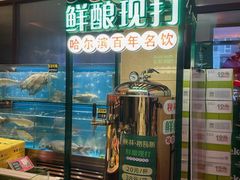 -宏达老菜馆(东安街店)