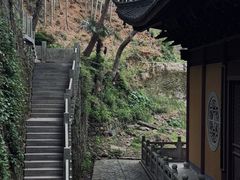 -东明山森林公园