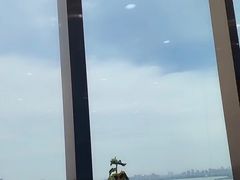 -洄归山也·高空C位湖景下午茶(东方之门店)
