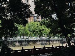 -成都市活水公园