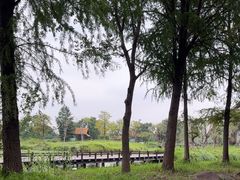 -宁波杭州湾国家湿地公园