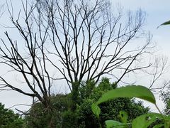 -永安龟山公园