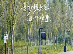 -东郊湿地公园