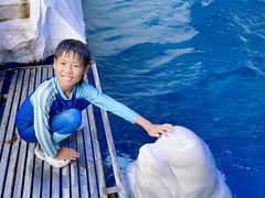 -秦皇岛乐岛海洋王国