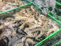 -盒马鲜生(大成店)