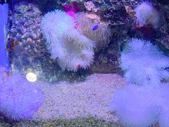 -大连老虎滩海洋公园