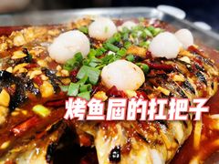 -鱼酷活鱼烤鱼(昆明路店)