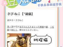-千秋未来日韩语(天府五街校区)