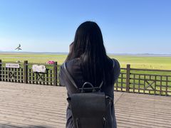 -鄱阳湖国家湿地公园