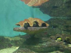 -北戴河圣蓝海洋公园