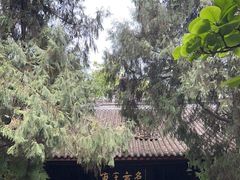 -成都武侯祠博物馆