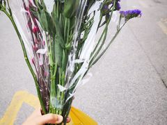 -平吉花卉市场