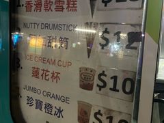 -富豪雪糕车流动点(尖沙咀店)