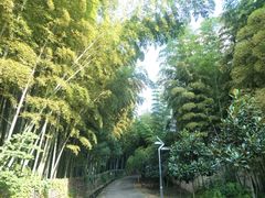 -苏州城市学院
