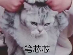 -花·fleur古董西餐厅(西城夜未央店)