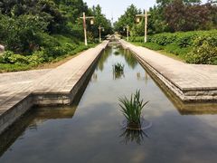 -洛阳市隋唐城遗址植物园