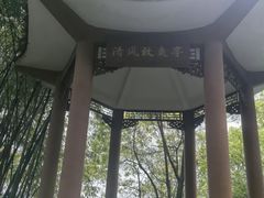 -南山植物园