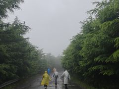 -东白山