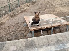 -宿豫区运河湾森林动物园