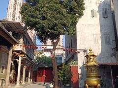 -华林禅寺