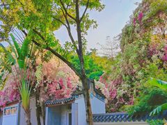 -深圳国际园林花卉博览园