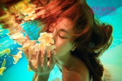 -施华洛婚纱摄影会所(范阳中路店)