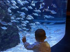 -成都浩海立方海洋公园