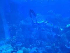 -成都浩海立方海洋公园