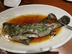 -頂好酒家·经典粤菜(海信广场店)