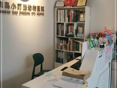 -小叮当动物医院·骨科·眼科