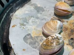 -亚马逊海鲜自助(梅溪湖步步高店)