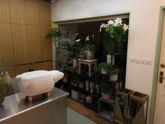 -蝶舍·MAISON PAPILLON