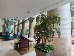 -厦门喜来登酒店