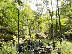 -茅兰沟国家森林公园