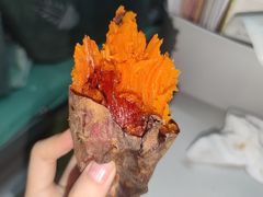 -海南热带海洋学院(三亚校区)
