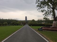 -宜兴龙背山森林公园