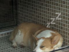 -老南昌粉面馆(绳金塔店)