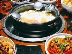 -志晖园圆子鸡·辣子鸡(阳光店)
