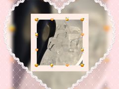 -溏心风鲍港式打边炉(余英坊店)