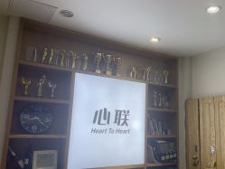 -心联形象设计·流星染