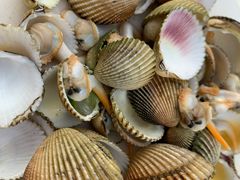 -蓝湾碧波·老字号·疍家非遗海上餐厅