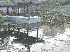 -高子水居