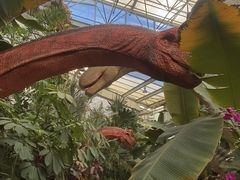 -沈阳植物园