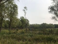 -东郊湿地公园