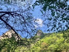 -青峰峡国家森林公园