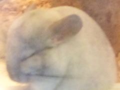 -龙猫仔乐园(惠福东路店)