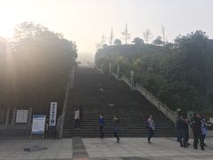 -铁山坪森林公园