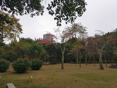 -晓港公园
