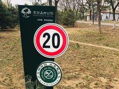 -东郊湿地公园