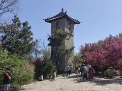-爱新觉罗皇家博物院